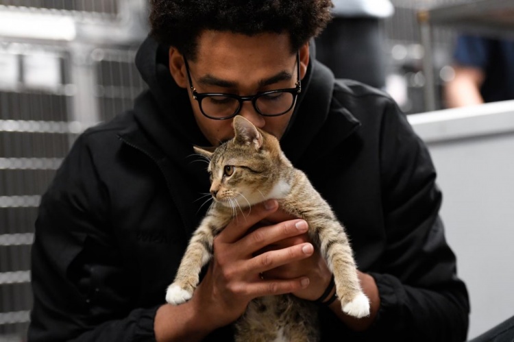 普尔：NBA里养猫的人很多 好色先生TV下载网站有一个秘密的圈子常私下交流